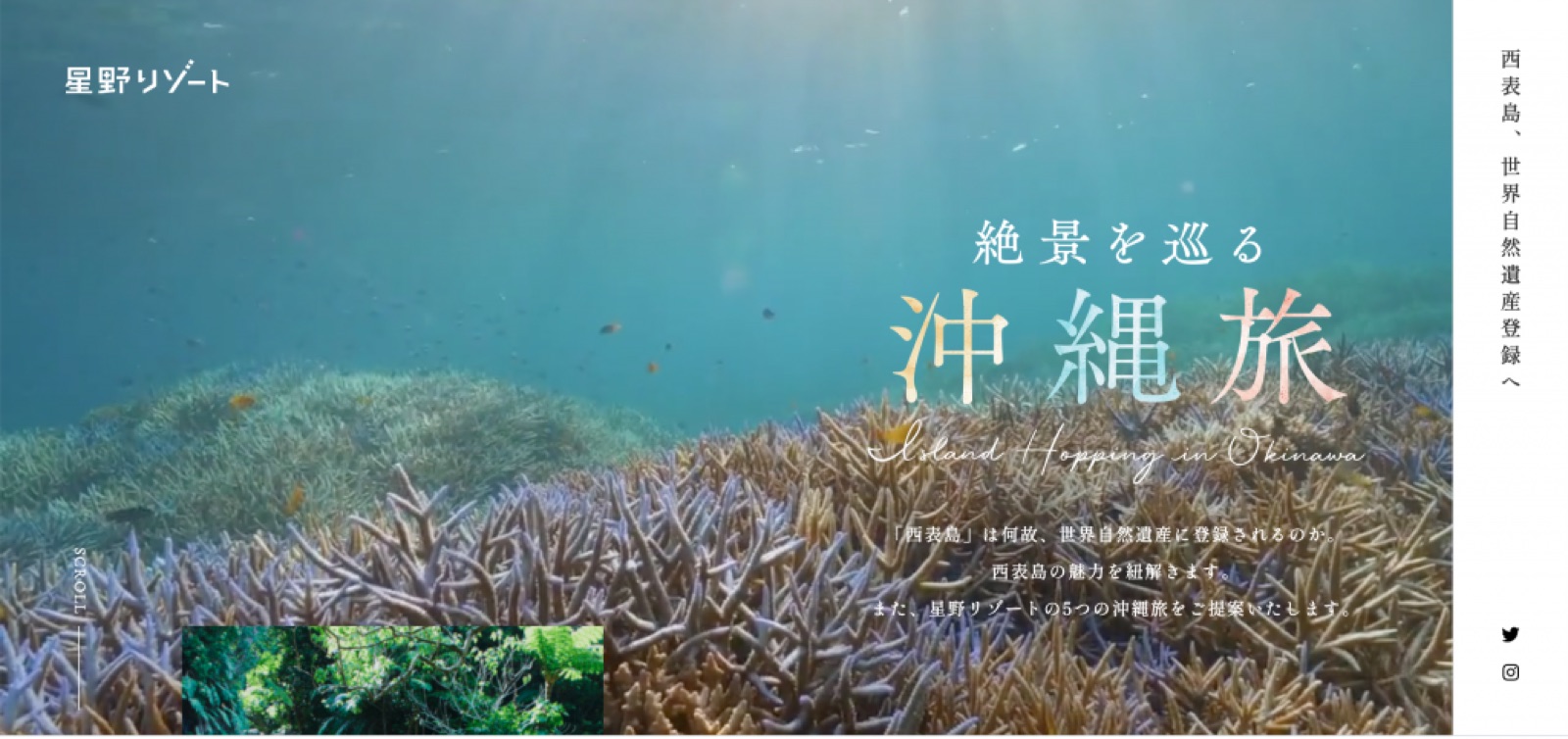 高橋政司が「西表島の世界自然遺産登録について」星野リゾートの特設サイトに寄稿しました